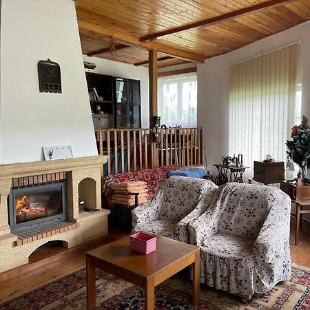 Casa Adelina Villa Valea Lunga-Cricov Dış mekan fotoğraf