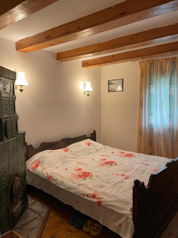 Casa Adelina Villa Valea Lunga-Cricov Dış mekan fotoğraf
