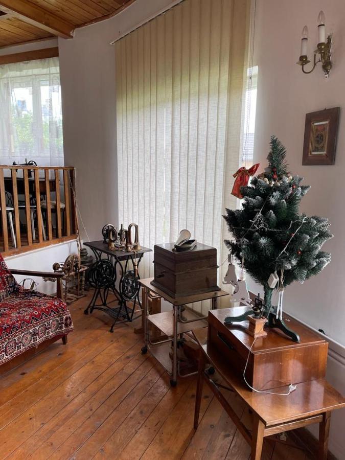 Casa Adelina Villa Valea Lunga-Cricov Dış mekan fotoğraf