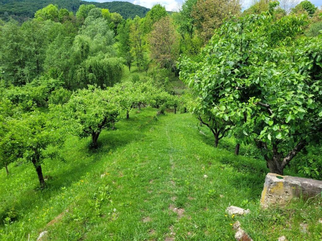 Casa Adelina Villa Valea Lunga-Cricov Dış mekan fotoğraf