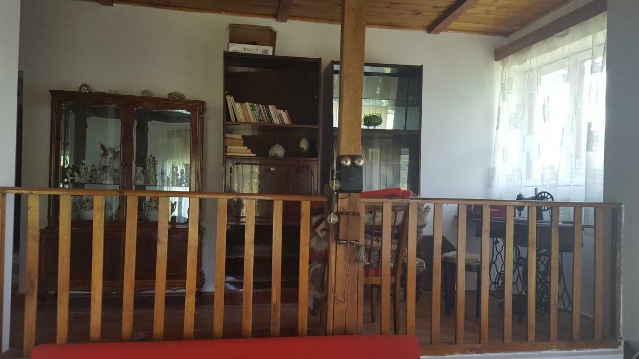 Casa Adelina Villa Valea Lunga-Cricov Dış mekan fotoğraf