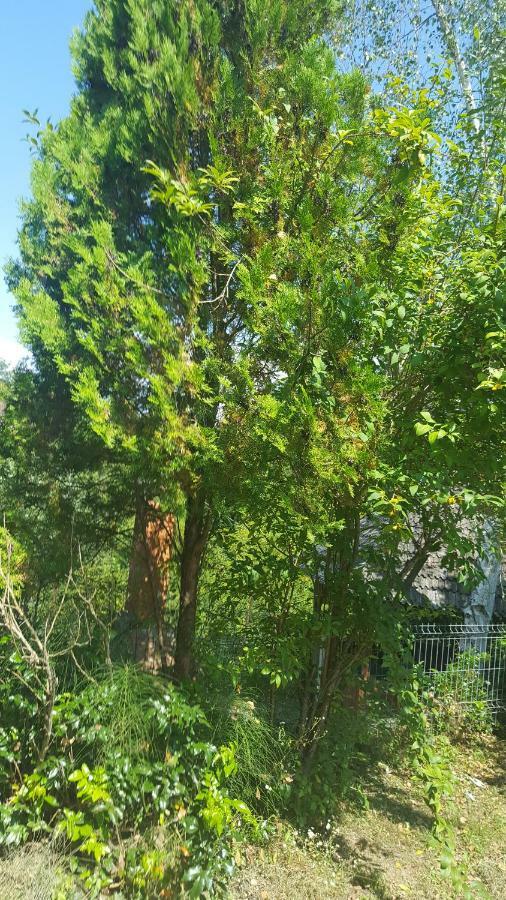 Casa Adelina Villa Valea Lunga-Cricov Dış mekan fotoğraf